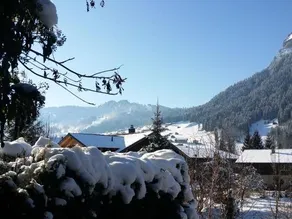 Apartment Chalet FlÖschhorn - Image 3