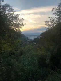 Cantagallo - Image 3