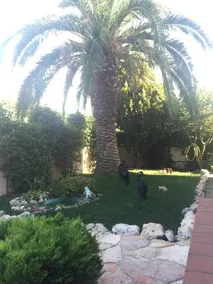 B&B La Casa Di Walter - Image 2