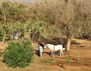 Casa Serradei - Image 3