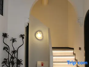 Xitang Wild Mountain Hot Spring Boutique Stay (Hanhua Tianmashan Hot Spring Resort Area) - Image 5