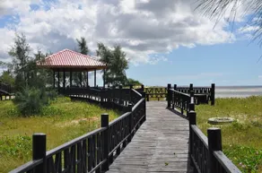 Golden Peacock Resort Hotel - Image 4