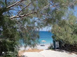Argo Suites - Image 5