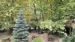 Sapanca Gonul Sofram Bungalov - Image 2