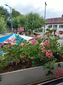 Auberge Communale  Chez Yann - Image 2