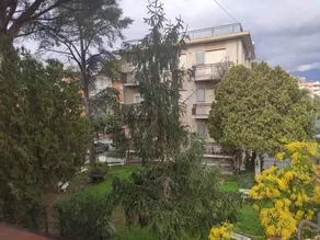 Appartamenti Bemar - Image 2