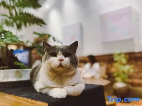 Yuxiang Hostel - Image 2