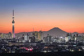 Akihabara Luxury Cityhouse - Image 2