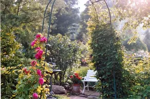 Au domaine Gîte À la Vallée des Roseaux - Image 2