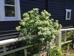 Clubbe Cottage - Image 5
