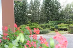 Motel Drive Inn - Image 3