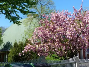 City Quartier Jena - Image 4