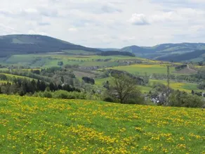 Serene Villa in Kstelberg near Lake & Watersports - Image 3