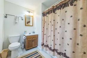 Sagamore 46g - Adirondack Retreat For All Seasons 3 Bedroom Townhouse - Image 2