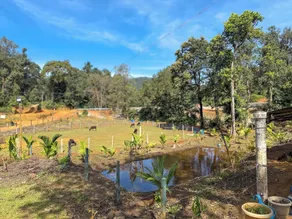 Kodachadri Pathalagere Homestay - Image 5