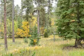 Grand Lookout Lodge - Image 3