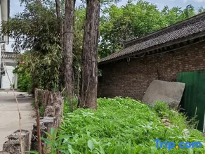 Maiji Mountain Heshun Manor Homestay - Image 3