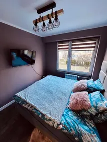 Apartment of Love - Image 2