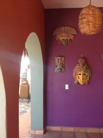 Leo's Baja Oasis - Image 5