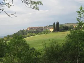 Il Merlo Verde - Image 3