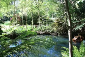 Shady Brook Cottages - Image 2