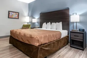 Econo Lodge Inn & Suites Demopolis - Image 3