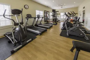 Holiday Inn Club Vacations - Apple Mountain Resort - Image 2