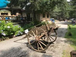 Casa Q Cotronei - Image 4