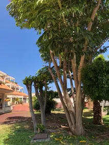 Bahia Playa - Image 5