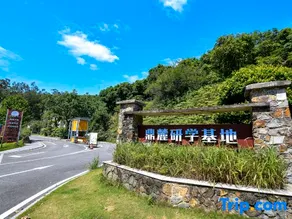 Dinglu Study Base Homestay (Jiangmen Botanical Garden Lanshi Park) - Image 4