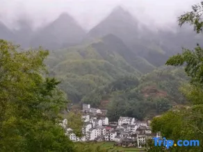 Xiuning Jiyuan Farm - Image 2