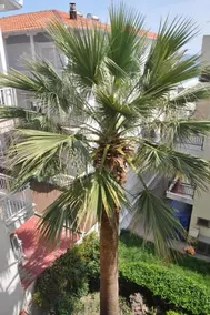 Hotel Dioni - Image 2