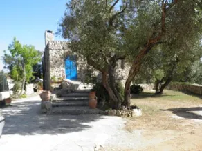 Villa Minteco - Image 4