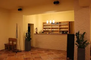Hotel Pod Zelenou - Image 5