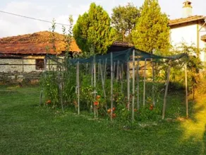 Guest House Yana - Image 4