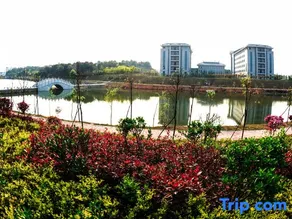 Danyuan Hotel - Image 4
