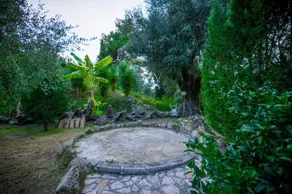 Tatiana Studio With Private Pool - Image 3