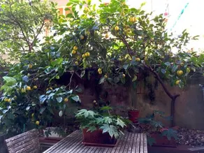 Appartamento Rita - Image 3