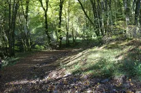 Domaine Du Randier - Image 4