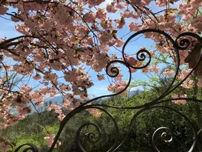 Luci Sui Monti - Image 3