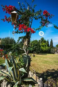 Tatiana Studio With Private Pool - Image 5