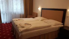 Hotel Nivy - Image 5