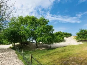 Landal Duinpark 't Hof van Haamstede - Image 4