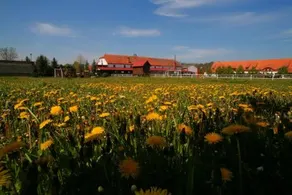 Stara Stajnia - Image 3