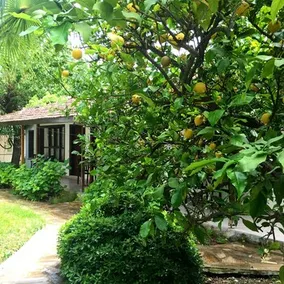 Dolunay Apart Hotel - Image 2