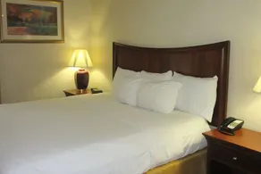 Red Roof Inn & Suites Owego - Image 3