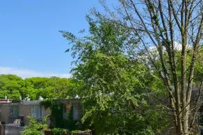 Prime Location w Historic Charm Near Shops &Parks - Image 2