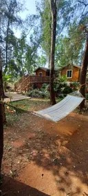The Jungle Resort - Image 5
