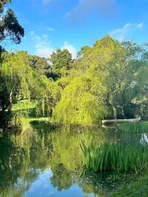 Pennyroyal Otways Retreat - Image 3