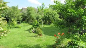 Bed & Breakfast De Kapschuur - Image 5